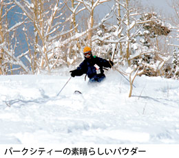 パークシティのパウダー