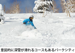 パークシティーのパウダー