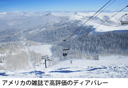高評価のディアバレー