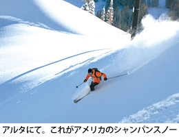 アルタでのシャンパンスノー