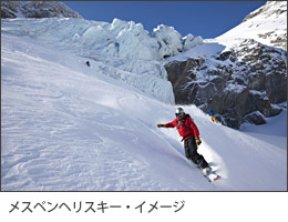メスベンへリスキー・イメージ